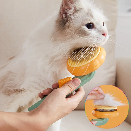 Cat and Dog Grooming Brush